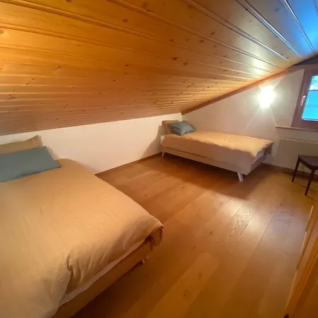 Vila Amazing In Gstaad *
