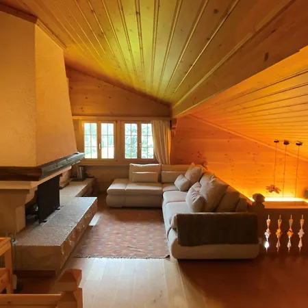 Amazing In Gstaad Vila